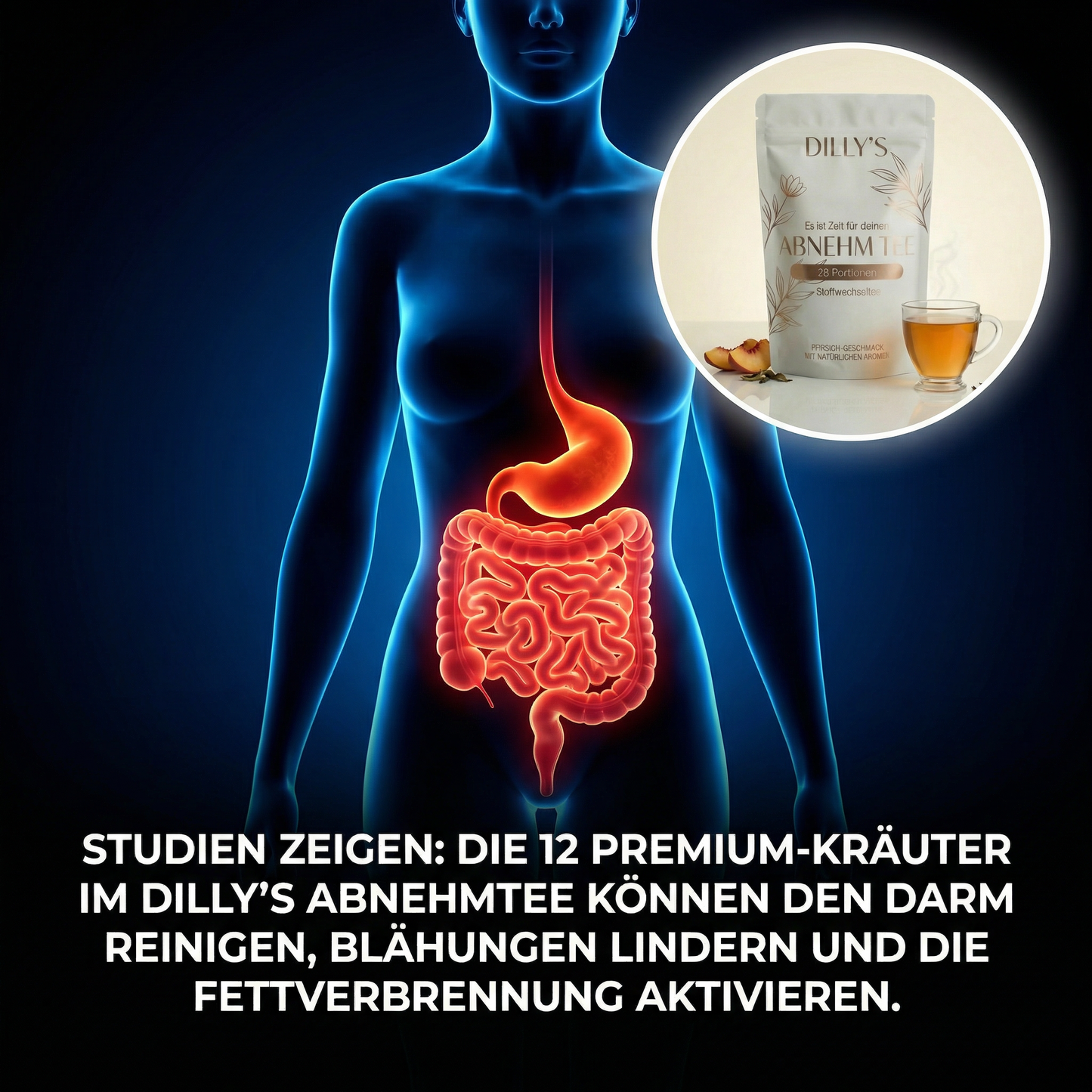 4-Wochen Detox- & Stoffwechsel-Kur