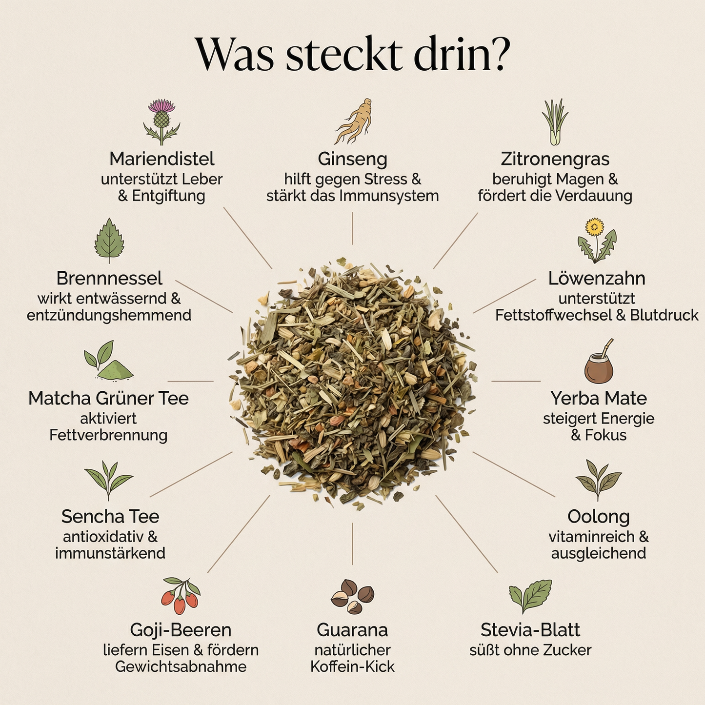 4-Wochen Detox- & Stoffwechsel-Kur