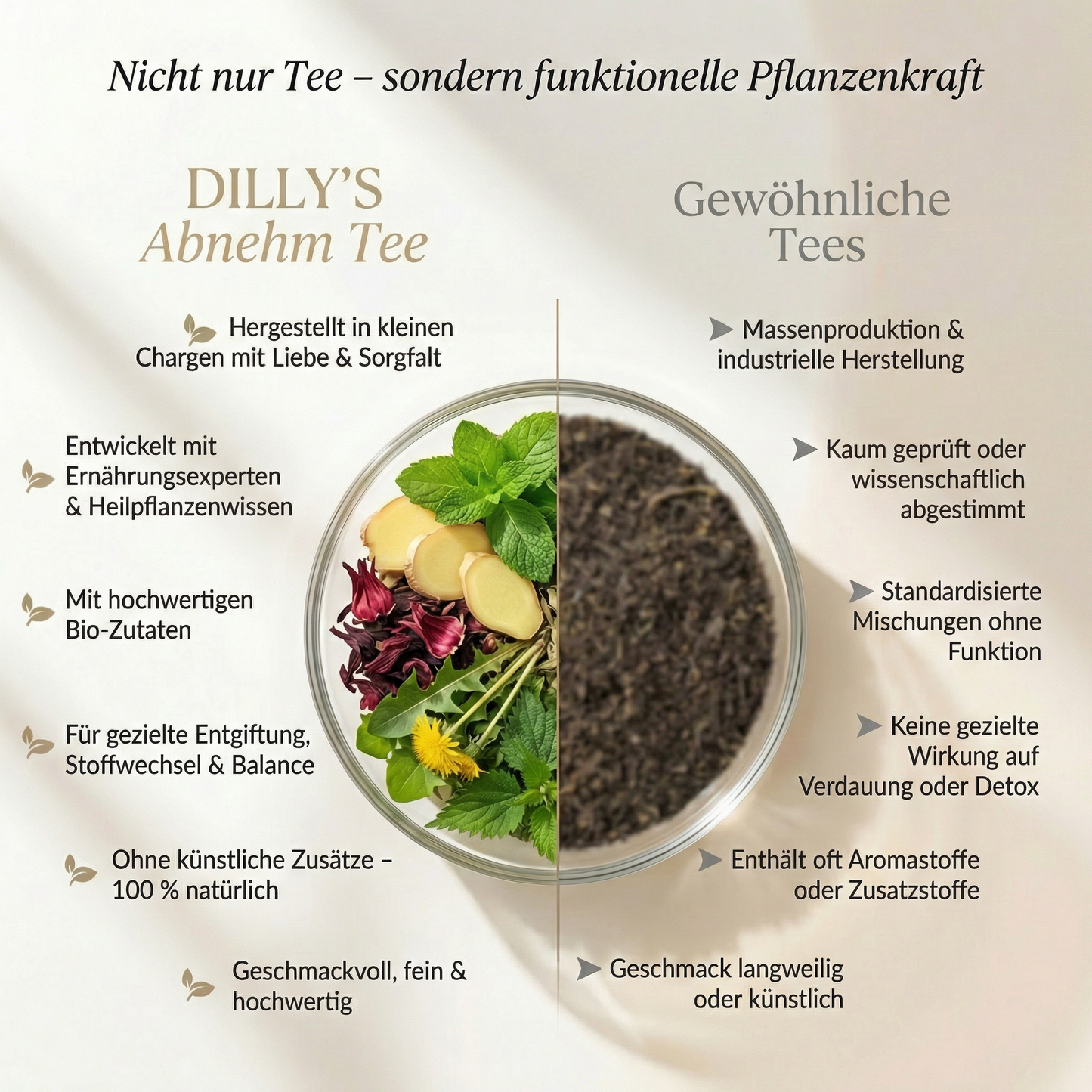 4-Wochen Detox- & Stoffwechsel-Kur