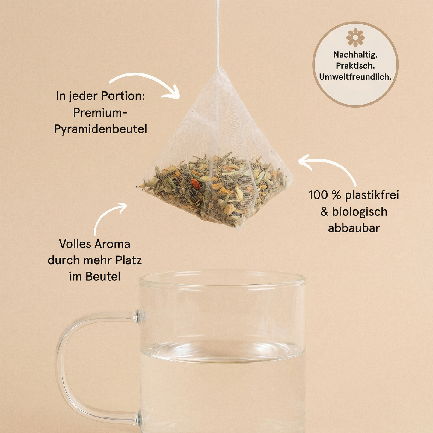 4-Wochen Detox- & Stoffwechsel-Kur